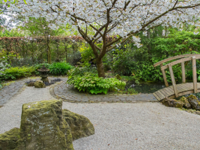 How to Create a Relaxing and Zen Garden Space