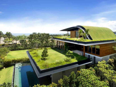 How to Create a Sustainable and Eco Friendly Home