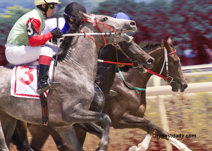 Le Journal Hippique NY Post Daily