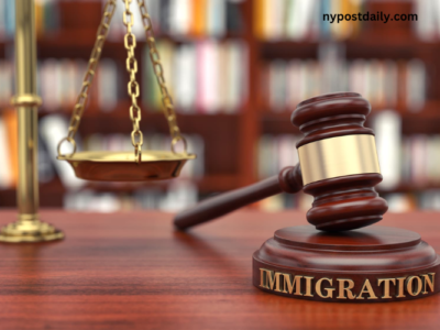 The Importance of Being a Lawyer for Brazilian Immigrants