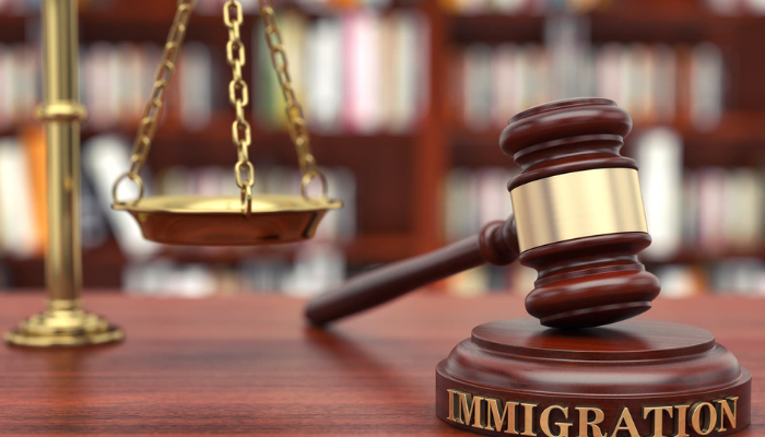 The Importance of Being a Lawyer for Brazilian Immigrants